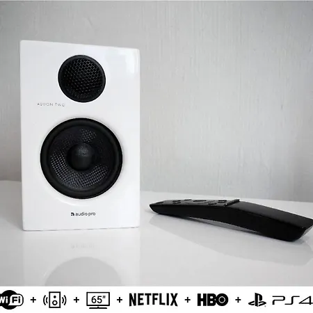 Aleksanteri Apartment *